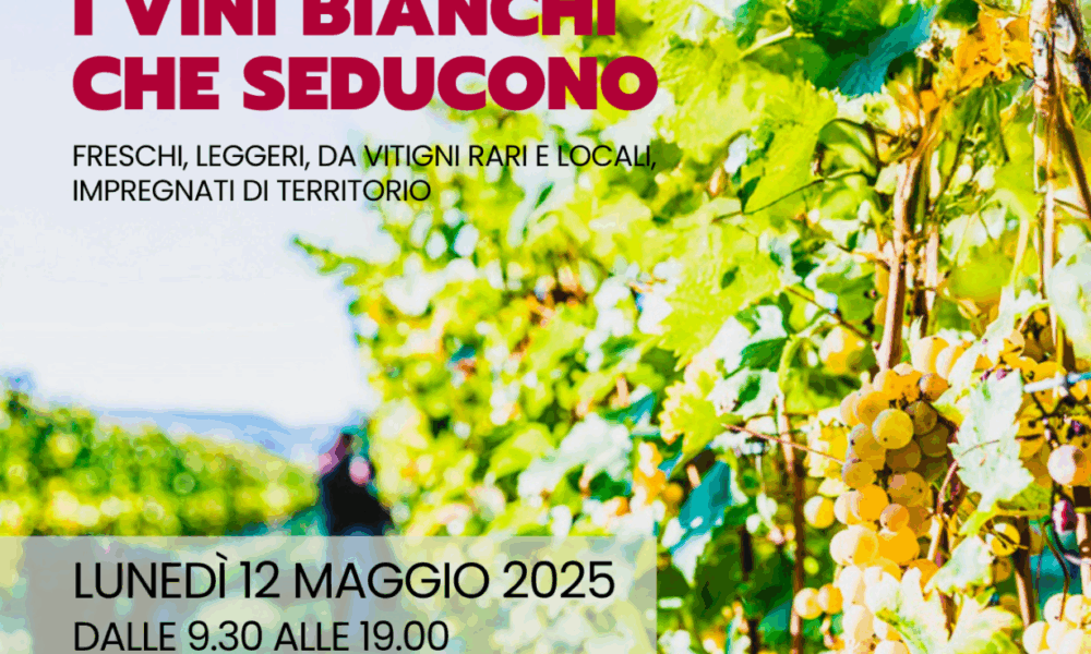 Vini Bianchi Torinesi