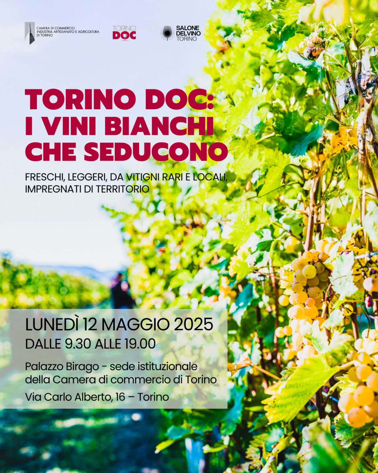Vini Bianchi Torinesi