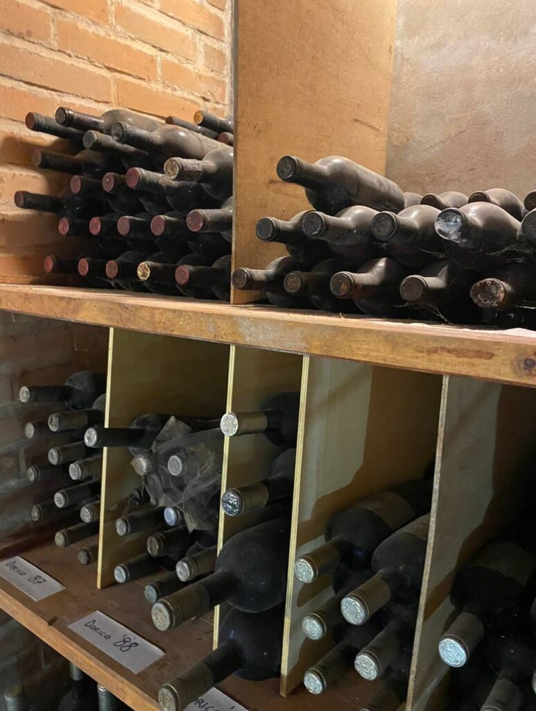 Bottiglie di vino invecchiate in cantina su scaffali in legno, alcune in appositi contenitori con divisori