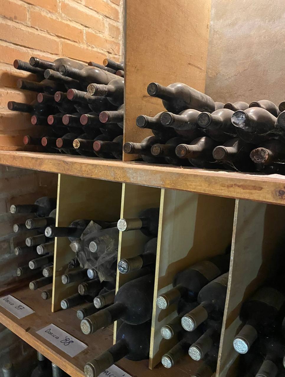 Bottiglie vecchie in cantina: si bevono ancora?