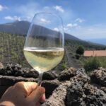 Calice di vino bianco frizzante con vista sul vulcano Etna e vigneti terrazzati siciliani sullo sfondo