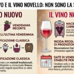 Confronto infografico tra vino nuovo e vino novello: caratteristiche, processo di vinificazione e normative di vendita