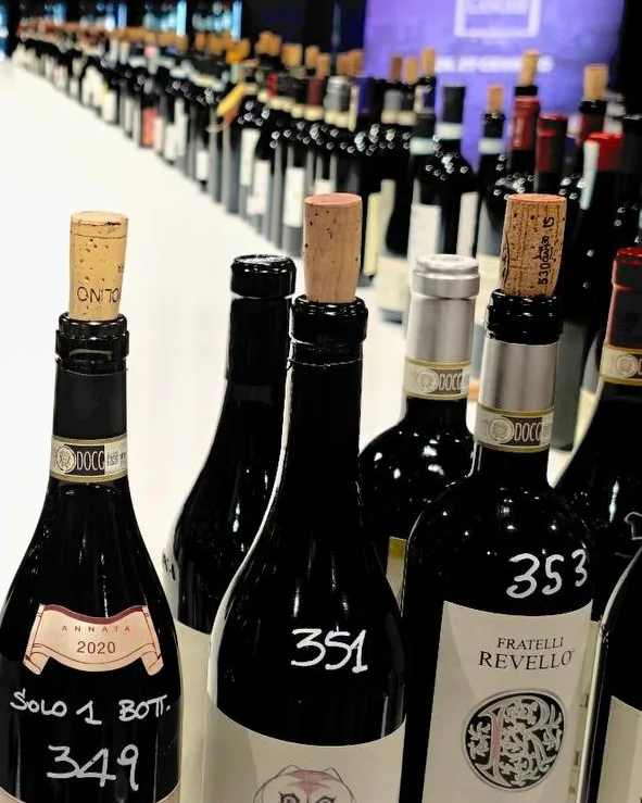 Bottiglie di Barolo 2022 numerate sul tavolo lungo dell’assaggio alle Grandi Langhe